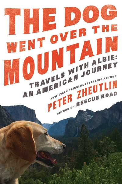 Cover for Peter Zheutlin · The Dog Went Over the Mountain: Travels With Albie: An American Journey (Hardcover Book) (2019)