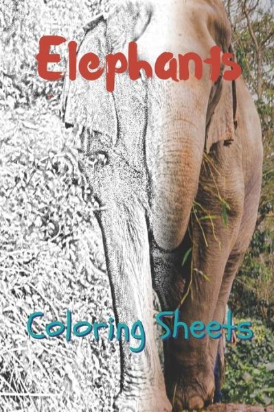 Cover for Julian Smith · Elephant Coloring Sheets (Pocketbok) (2019)