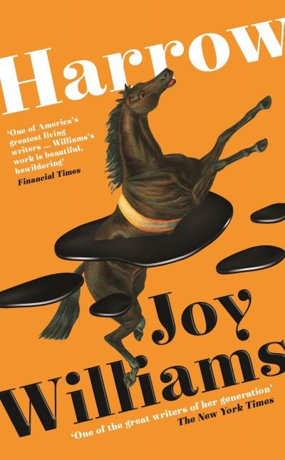 Cover for Joy Williams · Harrow (Innbunden bok) [Main edition] (2022)