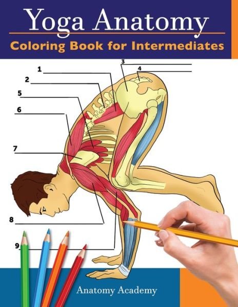 Anatomy Academy · Yoga Anatomy Coloring Book for Intermediates (Paperback Bog) (2020)