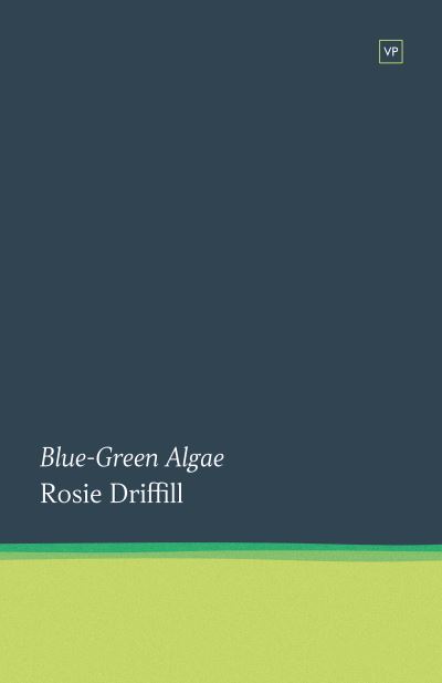 Blue-Green Algae - Rosie Driffill - Books - Valley Press - 9781915606013 - November 3, 2022