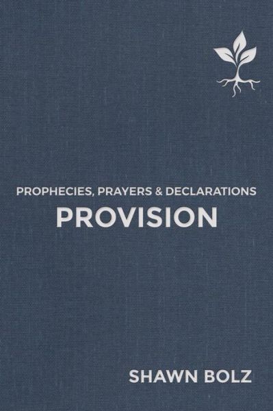 Cover for Shawn Bolz · Provision Volume 2: Prophecies, Prayers &amp; Declarations - Prophecies, Prayers &amp; Declarations (Hardcover Book) (2020)