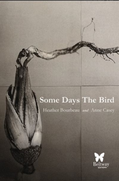 Some Days the Bird - Anne Casey - Książki - Beltway Editions - 9781957372013 - 2 grudnia 2022