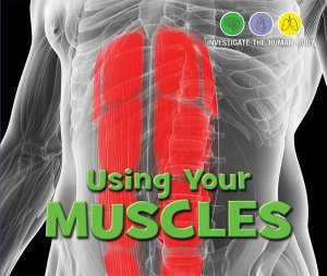Cover for Kathy Furgang · Using Your Muscles (Paperback Book) (2019)