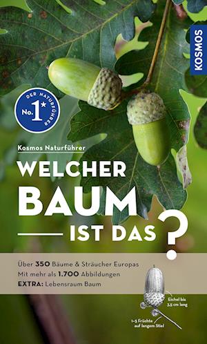 Cover for Margot Spohn · Welcher Baum ist das? (Book) (2024)