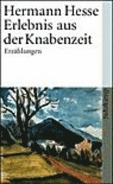 Cover for Hermann Hesse · Suhrk.tb.3801 Hesse.erlebn.i.d.knabenz. (Book)
