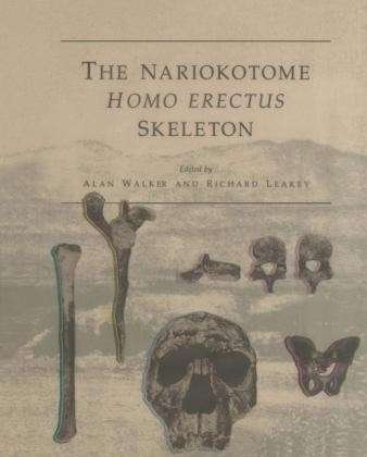 Cover for Alan Walker · The Nariokotome Homo Erectus Skeleton (Gebundenes Buch) [1993 edition] (1993)