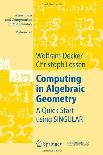 Computing in Algebraic Geometry: A Quick Start using SINGULAR - Algorithms and Computation in Mathematics - Wolfram Decker - Bøker - Springer-Verlag Berlin and Heidelberg Gm - 9783642067013 - 12. februar 2010