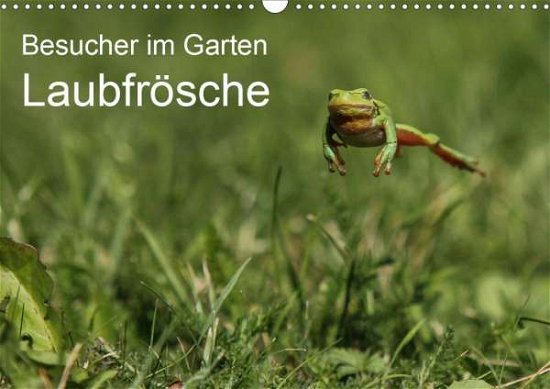 Cover for Wilhelm · Besucher im Garten - Laubfrösch (Bog)