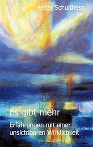 Cover for Peter Schulthess · Es gibt mehr (Paperback Book) (2014)