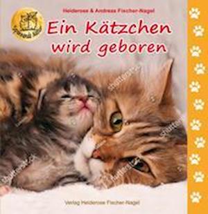 Cover for Heiderose Fischer-Nagel · Ein Kätzchen wird geboren (Book) (2022)