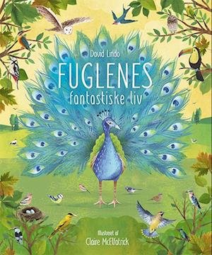 Cover for David Lindo · FUGLENES fantastiske liv (Hardcover Book) [1. wydanie] (2022)