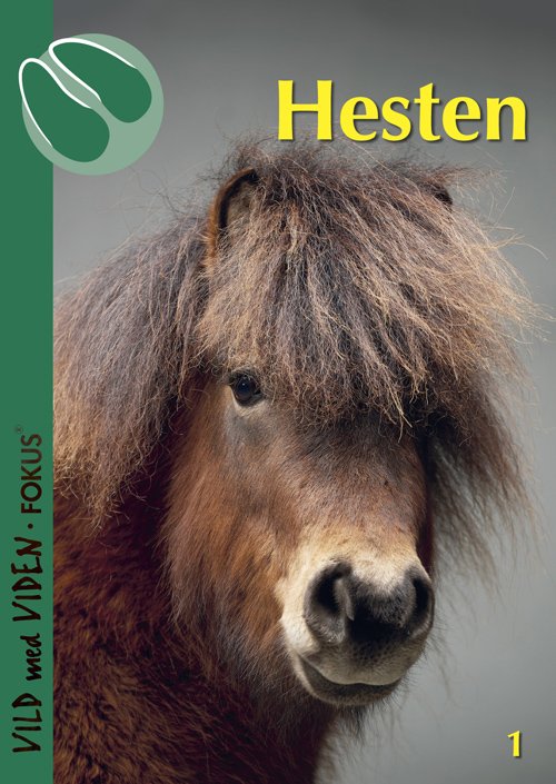 Vild med Viden FOKUS, Serie 1 Danske husdyr: Hesten - Pernille Sandø - Kirjat - Epsilon.dk - 9788793711013 - perjantai 8. kesäkuuta 2018