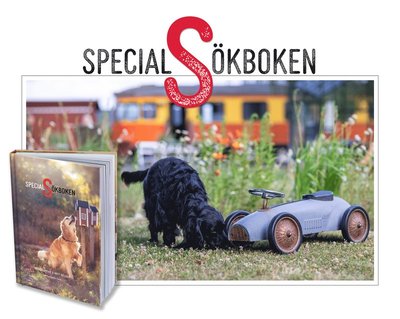 Specialsökboken - Britt Nylund Helena Lindhe - Książki - Kungliga Hundars Förlag - 9789198577013 - 1 grudnia 2021