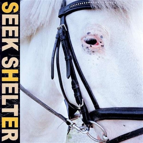 Seek Shelter - Iceage - Musik - Mexican Summer - 0184923129014 - 7 maj 2021