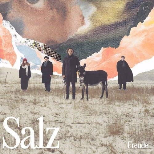 Salz - Freude - Music -  - 0196588411014 - October 6, 2023