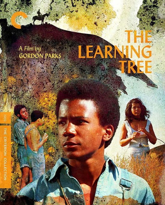 Cover for Criterion Collection · Learning Tree, the DVD (DVD) (2021)