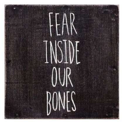 Cover for The Almost · Fear Inside Our Bones (LP) (2013)