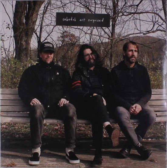 Cover for Sebadoh · Act Surprised (LP) (2019)