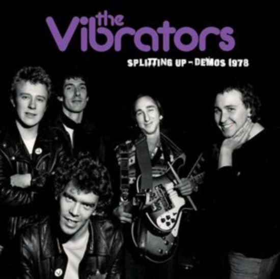 Splitting Up Demos 1978 - Vibrators - Musiikki - CLEOPATRA RECORDS - 0889466466014 - perjantai 10. marraskuuta 2023