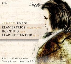 Cover for Brahms / Solisten Der Villa Musica · Die Trios (CD) (2011)