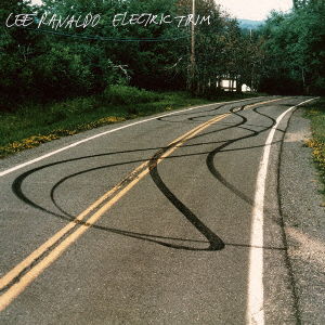 Cover for Lee Ranaldo · Electric Trim (CD) [Japan Import edition] (2017)