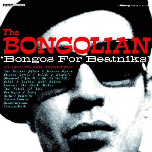 Cover for Bongolian · Bongos For Beatniks (LP) (2011)