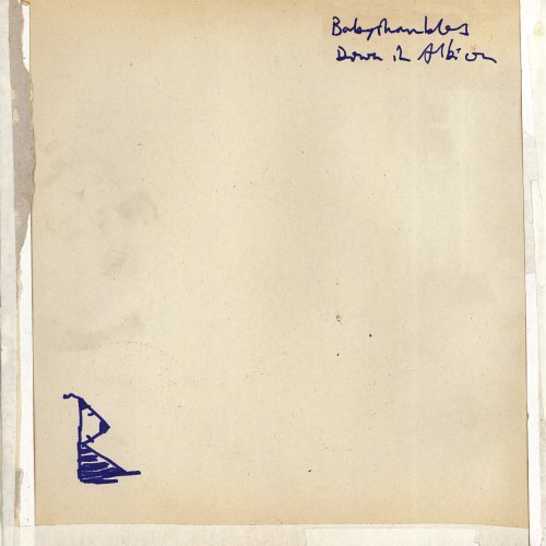 Cover for Babyshambles · Down In Albion (LP) [Standard edition] (2005)
