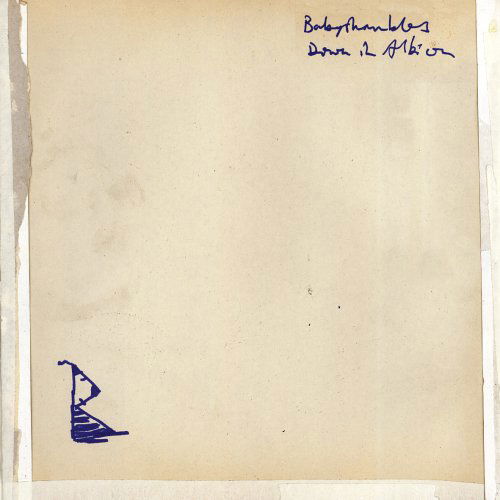 Cover for Babyshambles · Down In Albion (LP) [Standard edition] (2005)