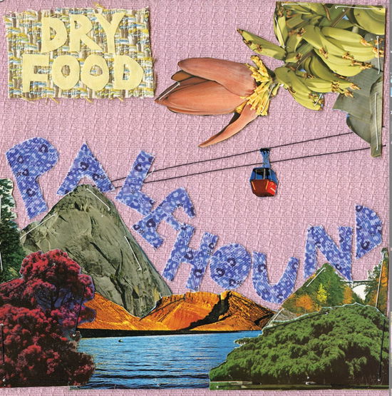 Dry Food - Palehound - Musik - HEAVENLY REC. - 5414939932014 - 2 maj 2018