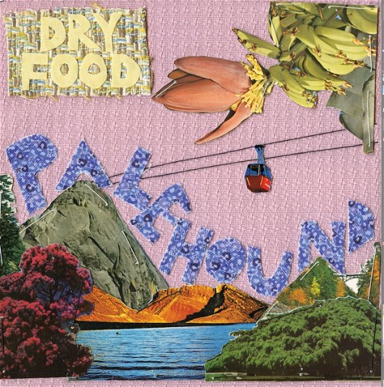 Cover for Palehound · Dry Food (CD) (2016)