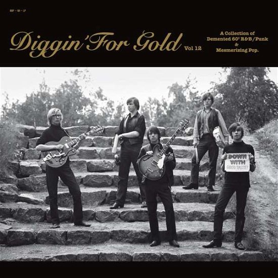 Diggin' For Gold Vol. 12 - Various Artists - Musikk - Busy Bee Production - 7331915024014 - 3. september 2021