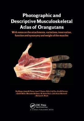Cover for Rui Diogo · Photographic and Descriptive Musculoskeletal Atlas of Orangutans: with notes on the attachments, variations, innervations, function and synonymy and weight of the muscles (Pocketbok) (2019)