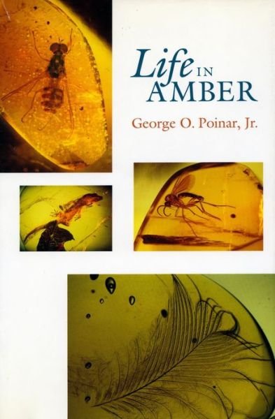 Cover for Poinar, George O., Jr · Life in Amber (Innbunden bok) (1992)