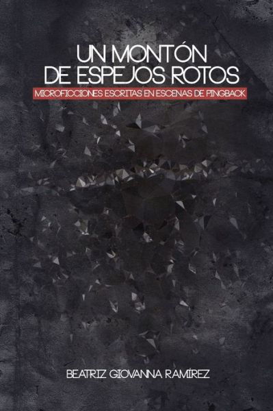 Cover for Beatriz Giovanna Ramirez · Un Monton De Espejos Rotos (Paperback Book) (2012)