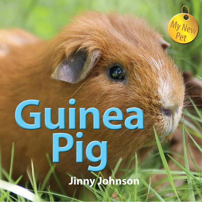 Cover for Jinny Johnson · My New Pet: Guinea Pig - My New Pet (Inbunden Bok) (2013)