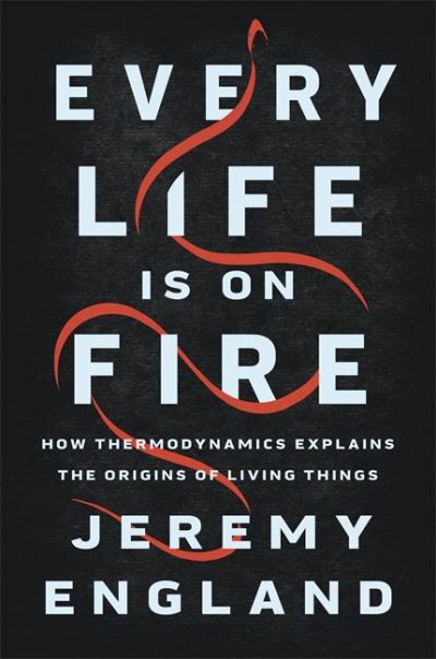 Every Life Is On Fire: How Thermodynamics Explains the Origins of Living Things - Jeremy England - Libros - Basic Books - 9781541699014 - 15 de octubre de 2020