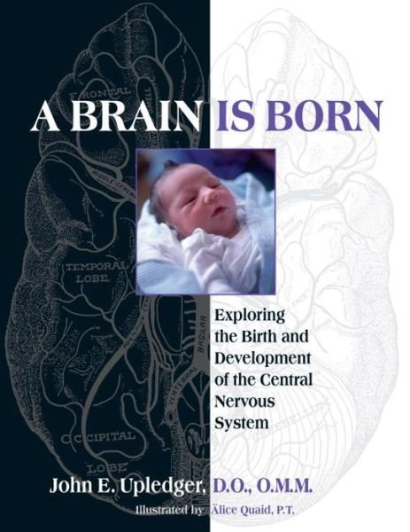 Cover for John E. Upledger · A Brain Is Born: Exploring the Birth and Development of the Central Nervous System (Taschenbuch) (2010)