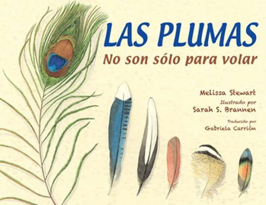 Cover for Melissa Stewart · Las plumas: No son solo para volar (Pocketbok) (2025)