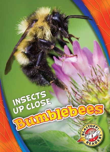 Cover for Patrick Perish · Bumblebees - Insects Up Close (Hardcover Book) (2019)