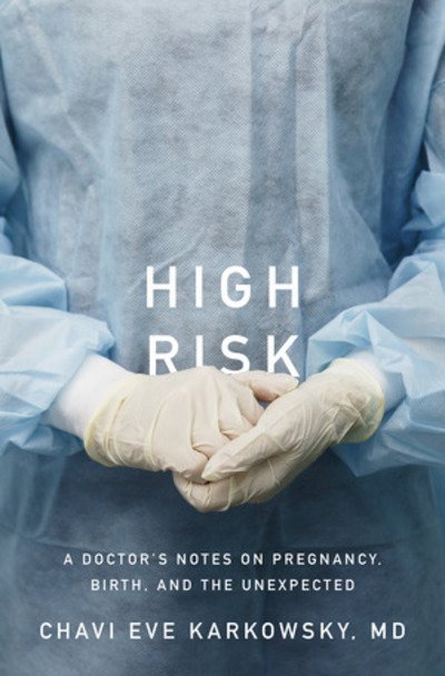 Chavi Eve Karkowsky · High Risk - Stories of Pregnancy, Birth, and the Unexpected (Gebundenes Buch) (2024)