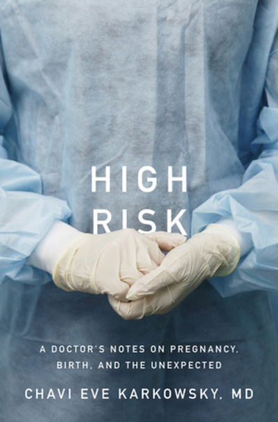 Chavi Eve Karkowsky · High Risk - Stories of Pregnancy, Birth, and the Unexpected (Hardcover Book) (2024)