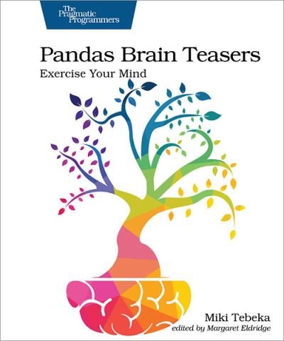 Cover for Miki Tebeka · Pandas Brain Teasers: Exercise Your Mind (Paperback Book) (2021)