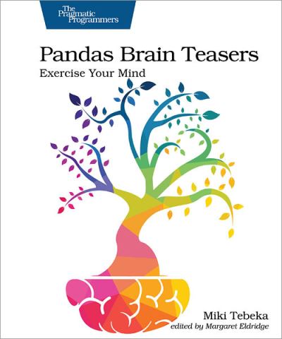 Pandas Brain Teasers: Exercise Your Mind - Miki Tebeka - Books - Pragmatic Bookshelf - 9781680509014 - November 18, 2021
