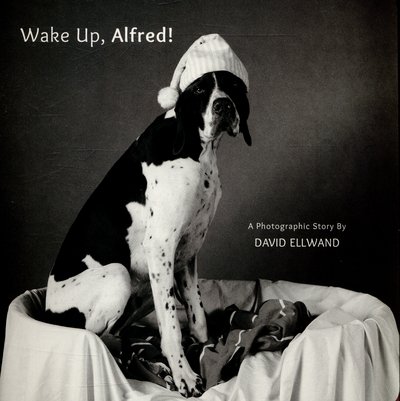 Cover for Wake Up Alfred (Bok) (2015)