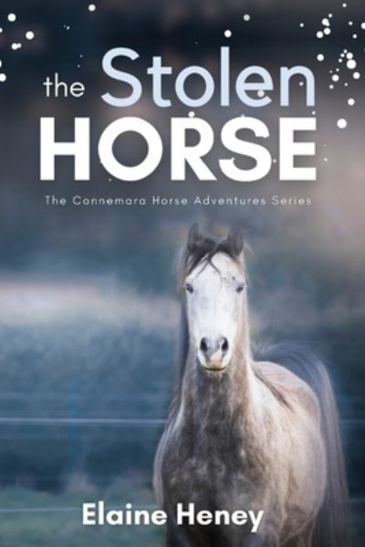 Cover for Elaine Heney · The Stolen Horse: Book 4 in the Connemara Horse Adventure Series for Kids | The Perfect Gift for Children age 8-12 - Connemara Horse Adventures (Paperback Book) (2022)