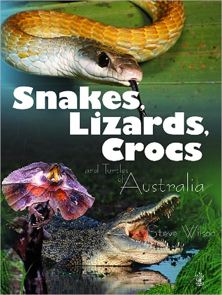 Snakes, Lizards & Crocs & Turtles of Australia (Young Reed) - Steve Wilson - Książki - New Holland Australia - 9781921073014 - 1 października 2006