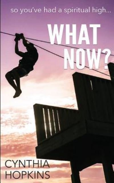 Cover for Cynthia Hopkins · What Now? (Paperback Book) (2017)