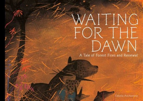 Cover for Fabiola Anchorena · Waiting for The Dawn (Hardcover Book) (2024)