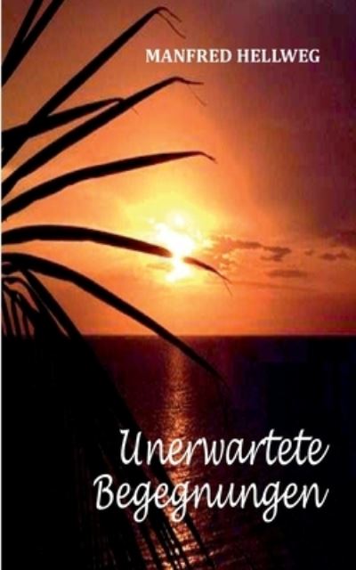 Cover for Manfred Hellweg · Unerwartete Begegnungen (Paperback Book) (2022)